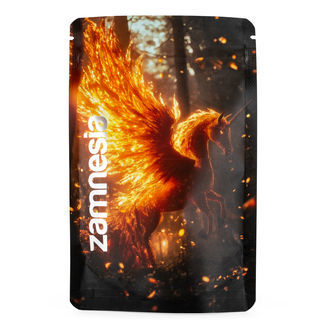 Mythical Creatures Z-Lock Opbevaringspose (Medium)