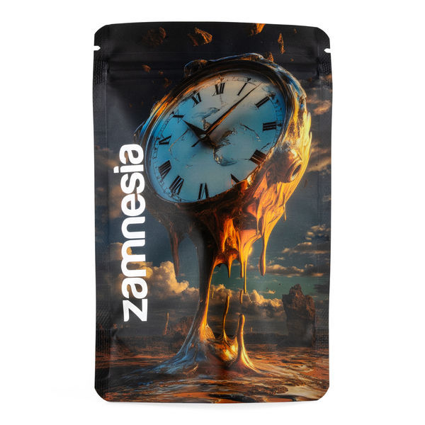 TranceLucid Z-Lock Opbevaringspose (medium)