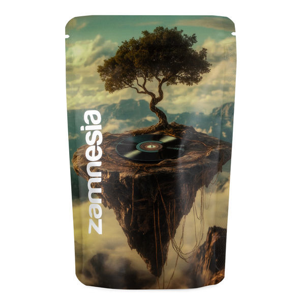 TranceLucid Z-Lock Opbevaringspose (medium)