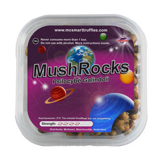 MushRocks Magiske tr&oslash;fler