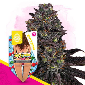 Super Boof Autoflower (Zamnesia Seeds) Feminiserede