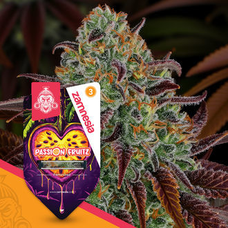 Passion Fruitz (Zamnesia Seeds) Feminiserede