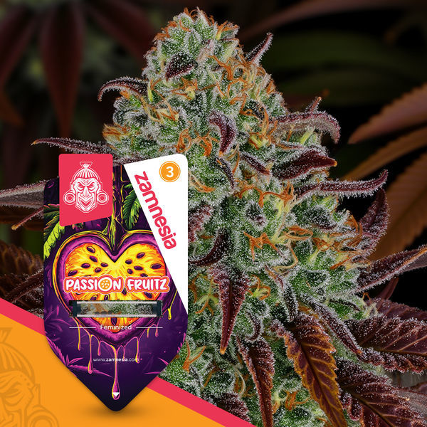Passion Fruitz (Zamnesia Seeds) Feminiserede