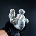 MycoBag "Tidal Wave Ape"