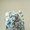 MycoBag "Tidal Wave Ape"