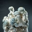 MycoBag "Tidal Wave Ape"