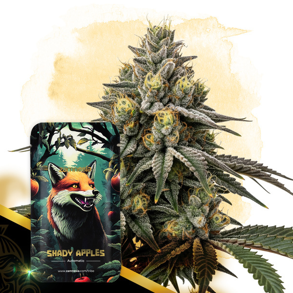 Shady Apples Autoflower (Zamnesia Seeds) Feminiserede