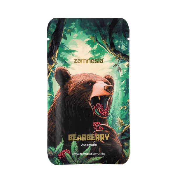 Bearberry Autoflower (Zamnesia Seeds) Feminiserede