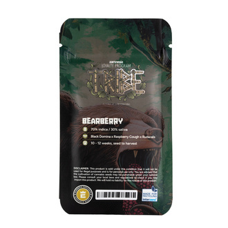 Bearberry Autoflower (Zamnesia Seeds) Feminiserede