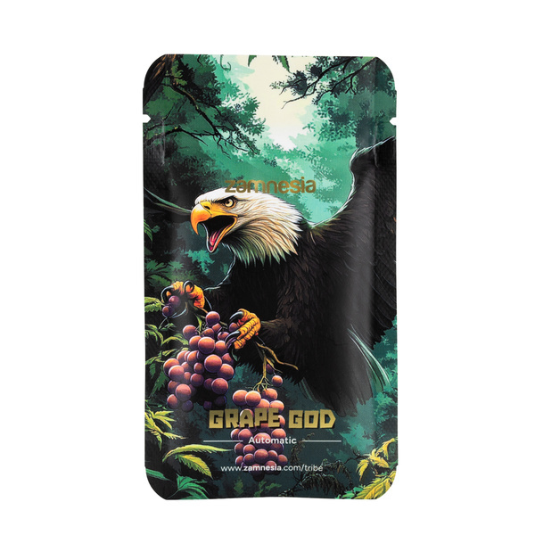 Grape God Autoflower (Zamnesia Seeds) Feminiserede