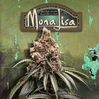Mona Lisa (T.H.Seeds&trade;) Feminiserede