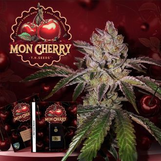 Mon Cherry (T.H.Seeds&trade;) Feminiserede