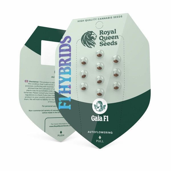 Gaia F1 Auto (Royal Queen Seeds) Feminiserede