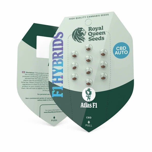 Atlas F1 Auto (Royal Queen Seeds) Feminiserede