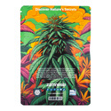 In-Di-Couch Indica-pakke - Feminiserede sorter