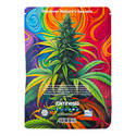 Viva Sativa-pakke - Feminiserede sorter