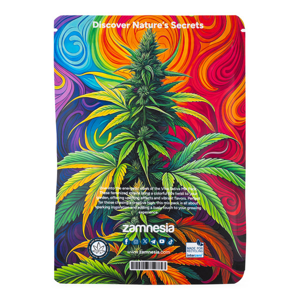 Viva Sativa-pakke - Feminiserede sorter