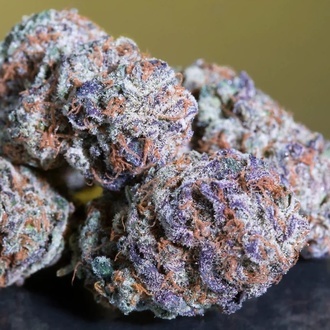 Blue Gem (Paradise Seeds) Feminiserede