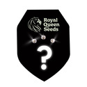 Autoflower mystiske frø 3 (Royal Queen Seeds)
