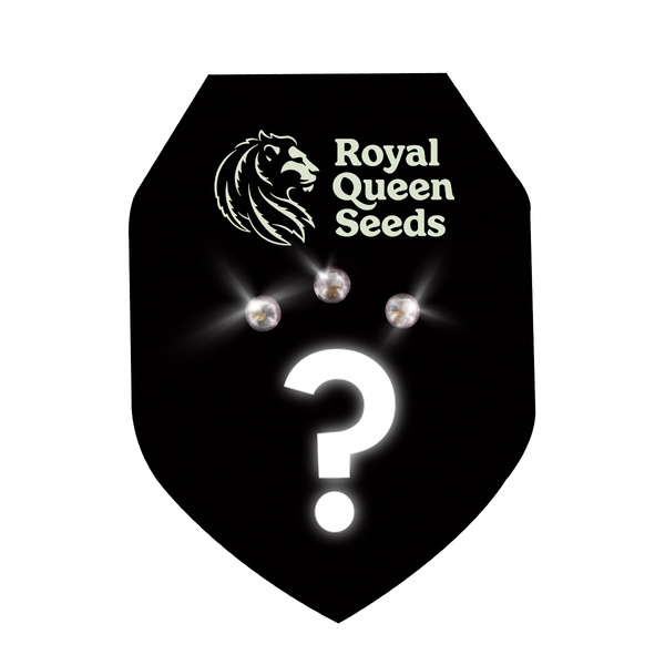 Autoflower mystiske frø 3 (Royal Queen Seeds)