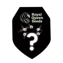 Mystiske Feminiserede frø 5 (Royal Queen Seeds)