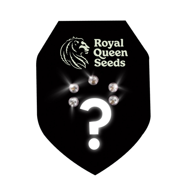 Mystiske Feminiserede frø 5 (Royal Queen Seeds)