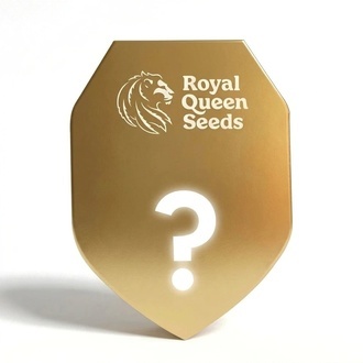 Autoflower F1 Mysteriefr&oslash; 5 (Royal Queen Seeds)