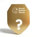 Autoflower F1 Mysteriefrø 5 (Royal Queen Seeds)