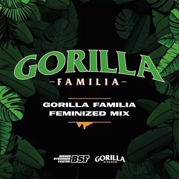 Gorilla Family Mix (BSF Seeds) Feminiserede
