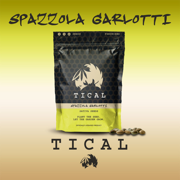 Spazzola Garletti (TICAL) Feminiserede