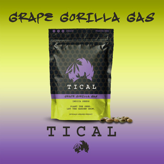 Grape Gorilla Gas (TICAL) Feminiserede