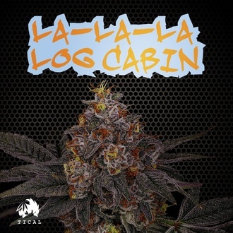La-La-La Log Cabin (TICAL) Feminiserede