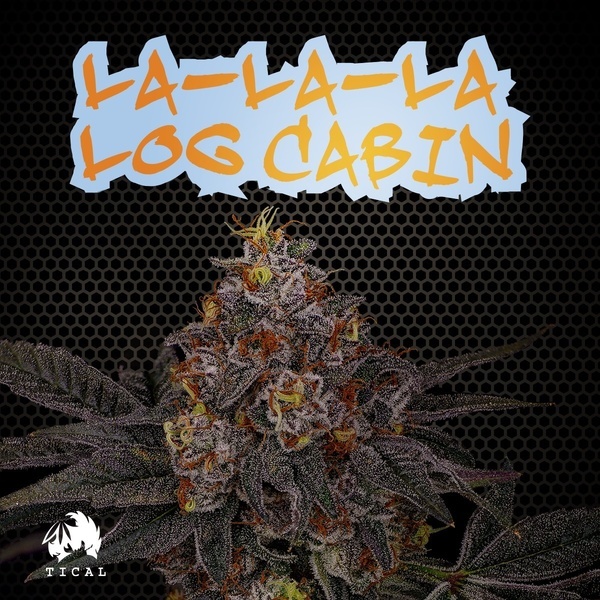 La-La-La Log Cabin (TICAL) Feminiserede