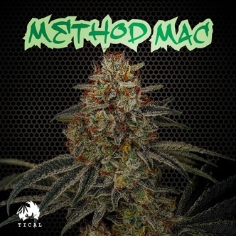 Method Mac (Tical Genetics) Feminiserede