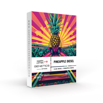 Pineapple Diesel Autoflower (Happy Valley Genetics) Feminiserede