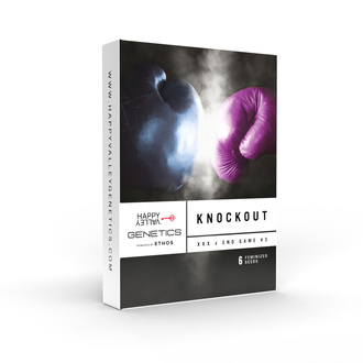 Knockout (Happy Valley Genetics) Feminiserede