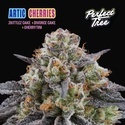 Arctic Cherries (Perfect Tree) Feminiserede