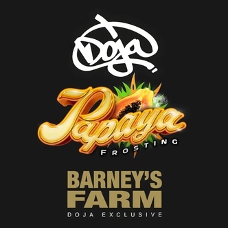 Papaya Frosting (Barney's Farm) Feminiserede