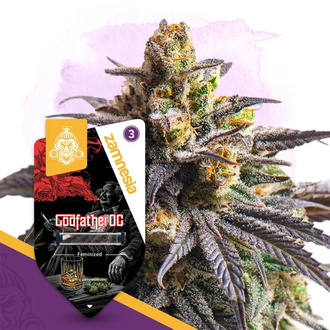 Godfather OG (Zamnesia Seeds) Feminiserede