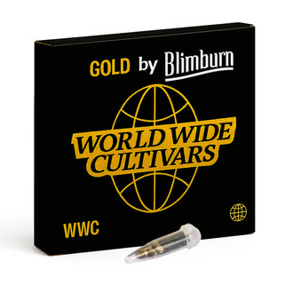 CBD ACDC (Blimburn Seeds) Feminiserede