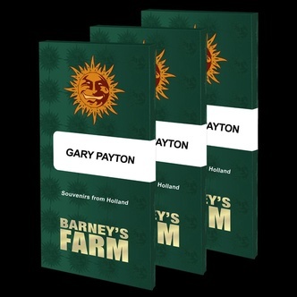 Gary Payton (Barney's Farm) feminiserede cannabisfr&oslash;