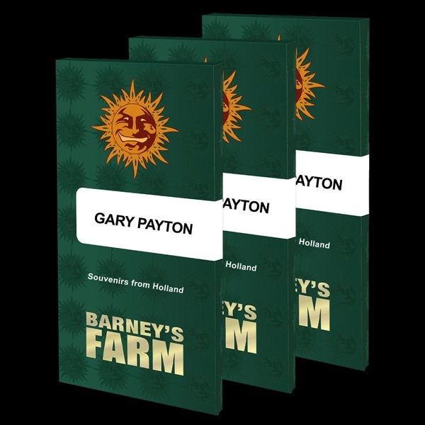Gary Payton (Barney's Farm) Feminiserede