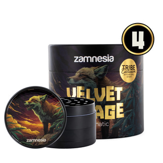 Velvet Mirage Autoflower (Zamnesia Seeds) feminiserede cannabisfr&oslash;