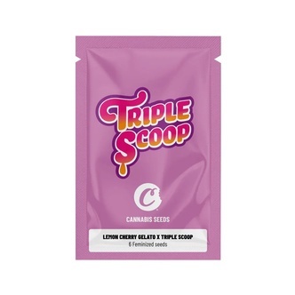 Lemon Cherry Gelato x Triple Scoop (Cookies) feminiserede cannabisfr&oslash;