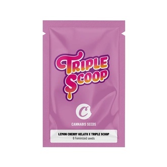 Lemon Cherry Gelato x Triple Scoop (Cookies) Feminiserede