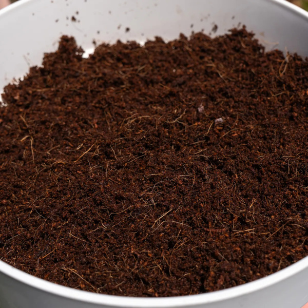 Kokosbrikette 10 l (Zamnesia)