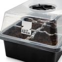 Formeringsbox (Zamnesia)
