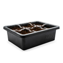 Formeringsbox (Zamnesia)