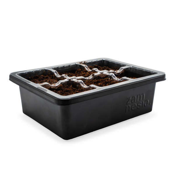 Formeringsbox (Zamnesia)