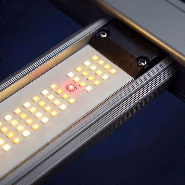 Phytonaut LED vækstlys 120 W (Zamnesia)